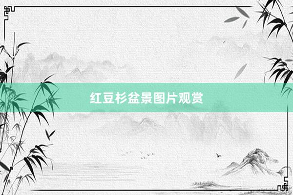 红豆杉盆景图片观赏