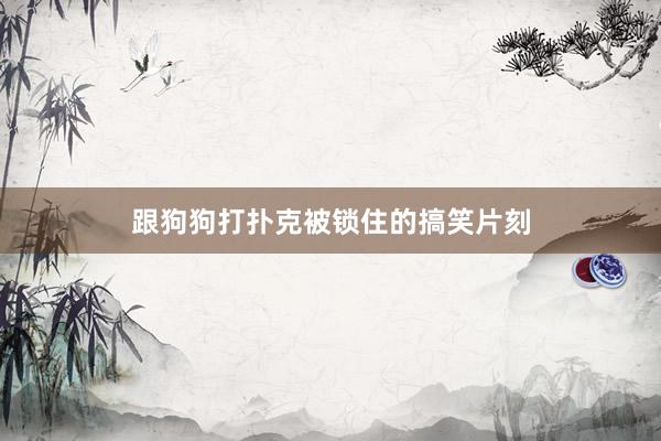 跟狗狗打扑克被锁住的搞笑片刻